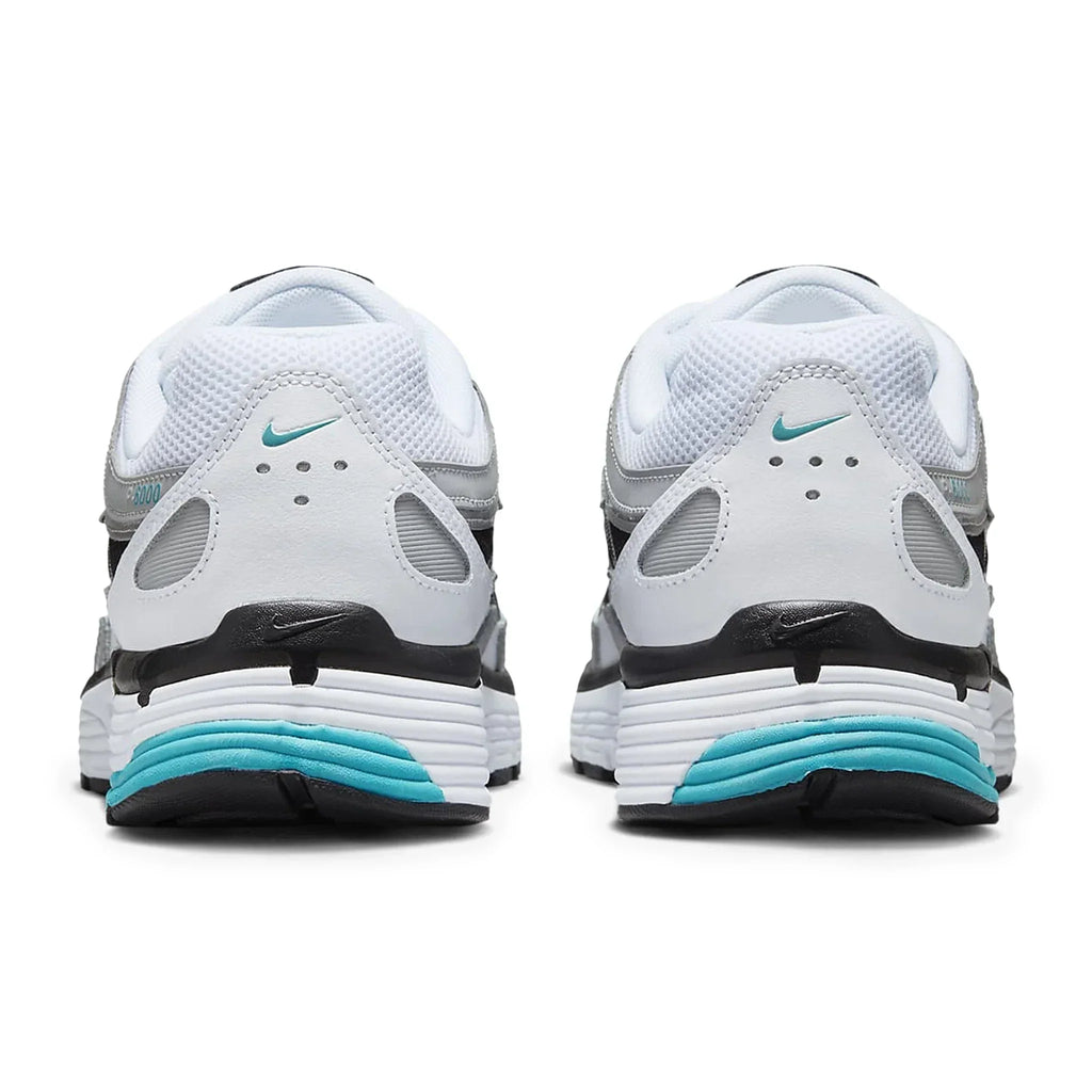 P-6000 Dusty Cactus